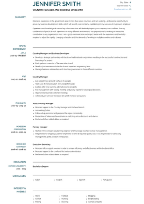 Country Manager and Business Developer Resume Sample and Template