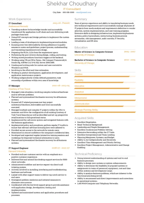 information technology resume skills