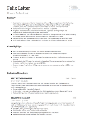 Finance Professional CV Example and Template
