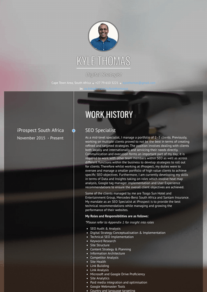Seo Strategist Resume Sample and Template